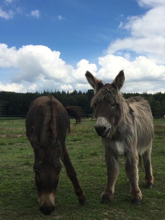 Nergena Zimmer Frei Goch Exteriör bild